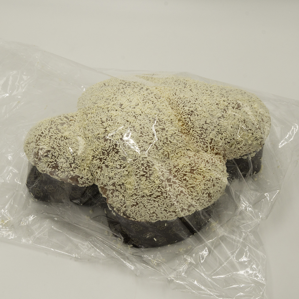 Colomba Bianca